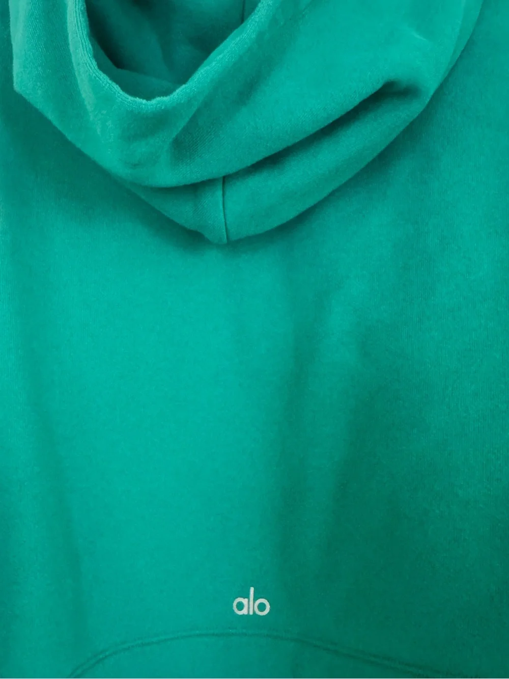 Alo Spruce Green Bae Hoodie/ Preloved/Very Good/ Small